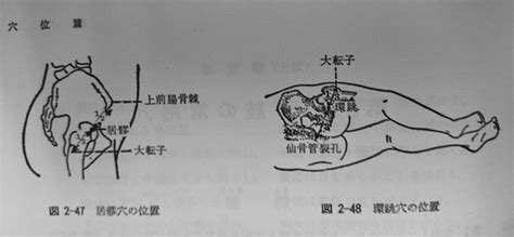 環跳位置|環跳 (かんちょう)